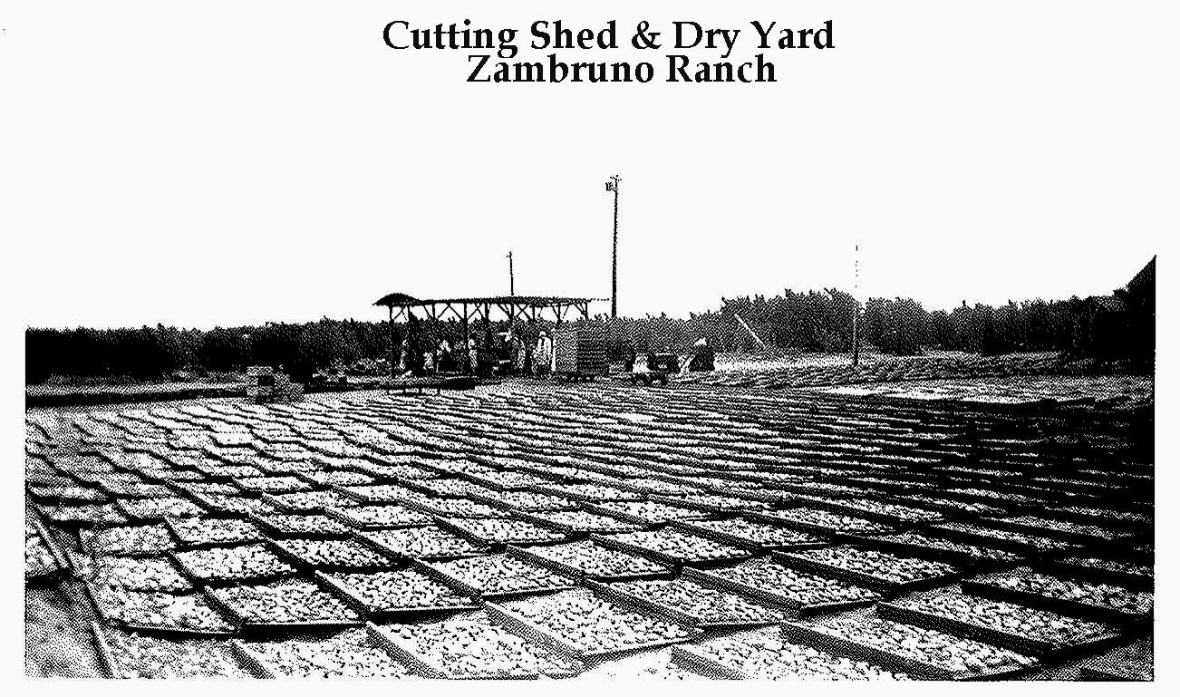 Historic Zambruno Ranch's cutting shed and dry yard in Hughson Ca